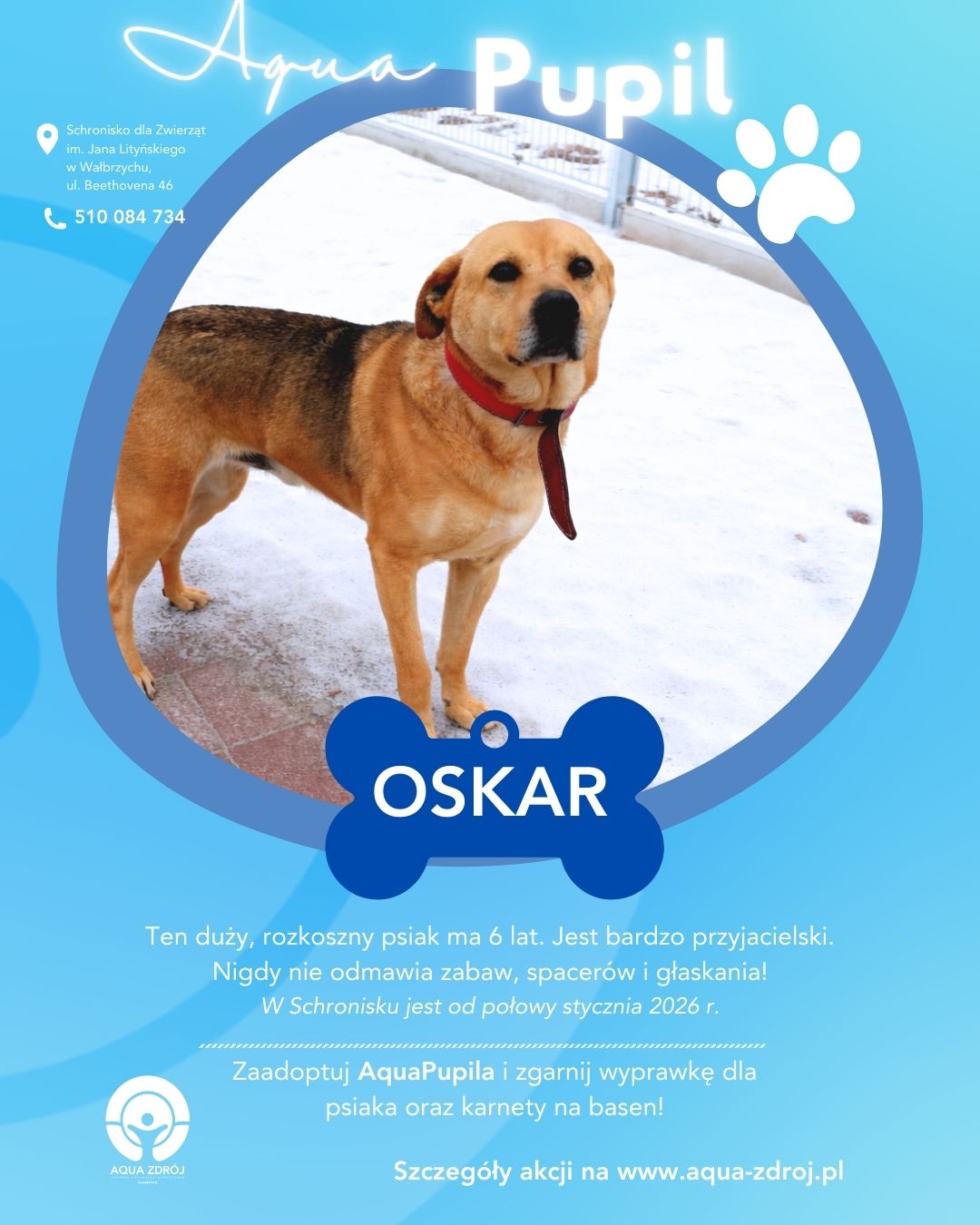 oskar.jpeg